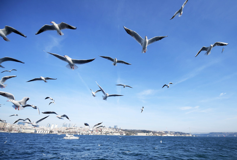    ФОТО: Shadati/XinHua/Globallookpress