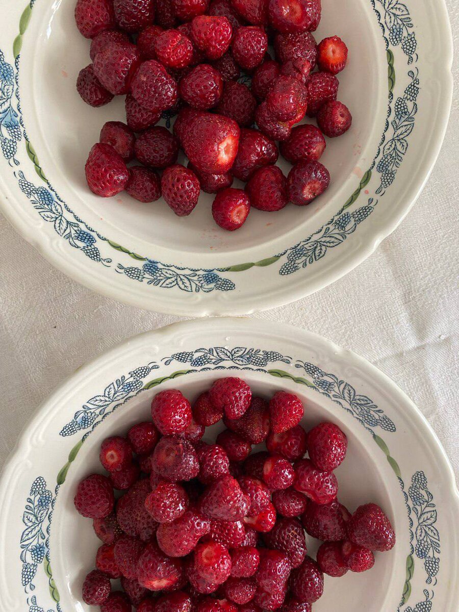 Серия «Ежевика» — тихая, уютная, словно летний вечер на даче. 