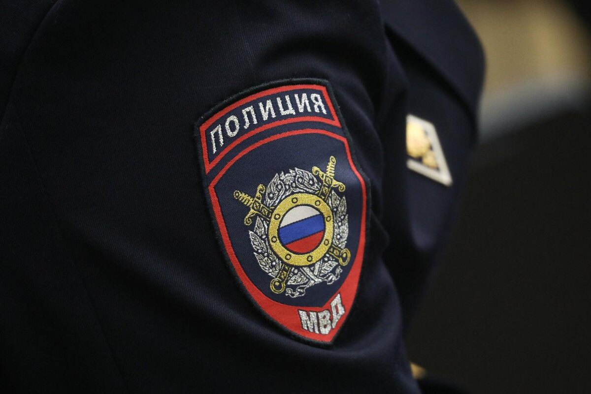    Фото: МВД медиа