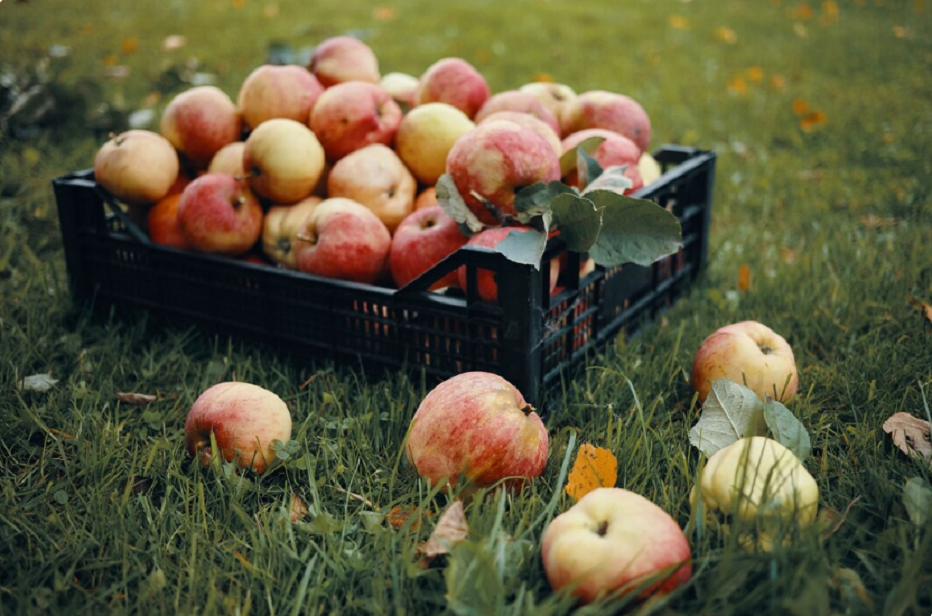    Фото с ru.freepik.com Марина Ецкова