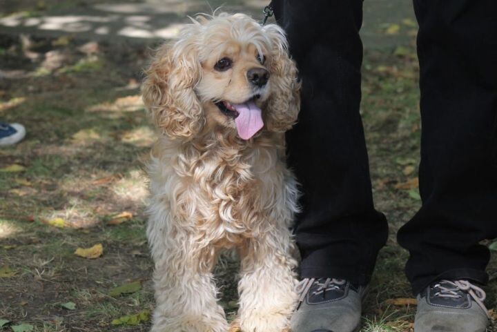    Фото:Виктория Андреева