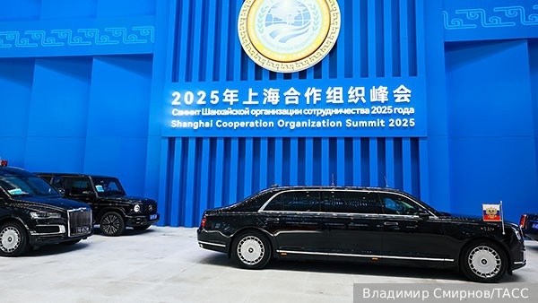     Фото: Владимир Смирнов/ТАСС   
 Текст: Ольга Иванова