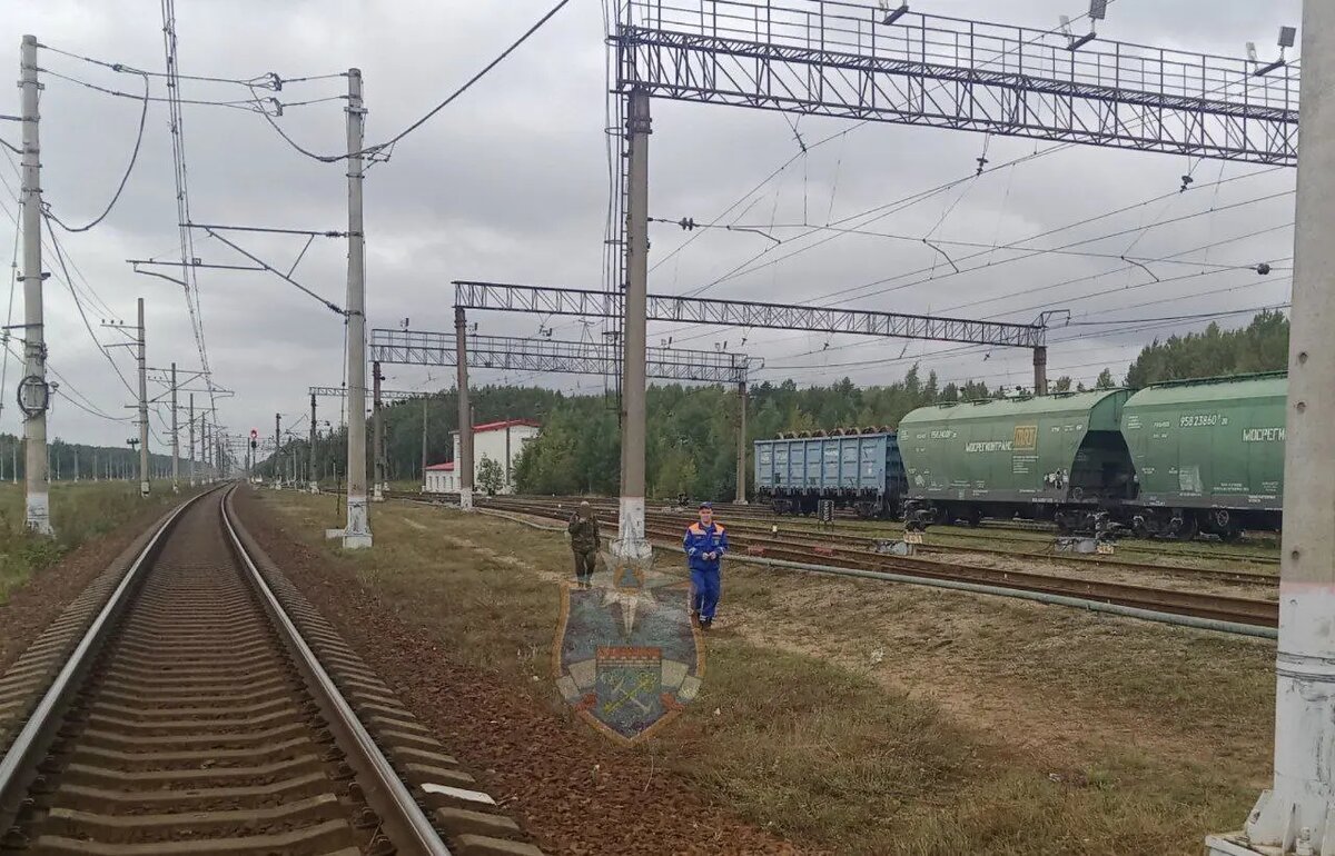    Фото: пресс-служба Аварийно-спасательной службы Ленобласти