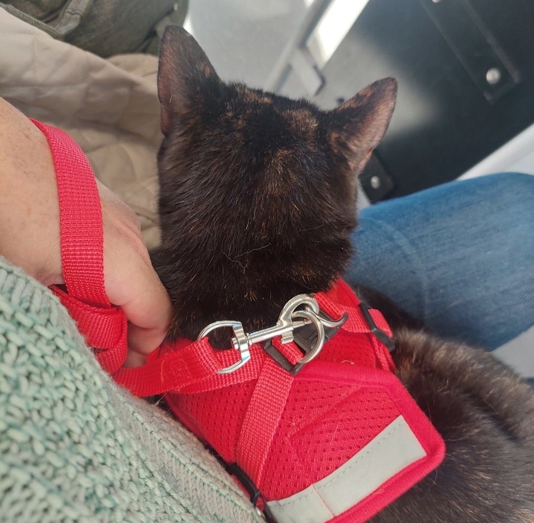 Едем с моей подруженцией.