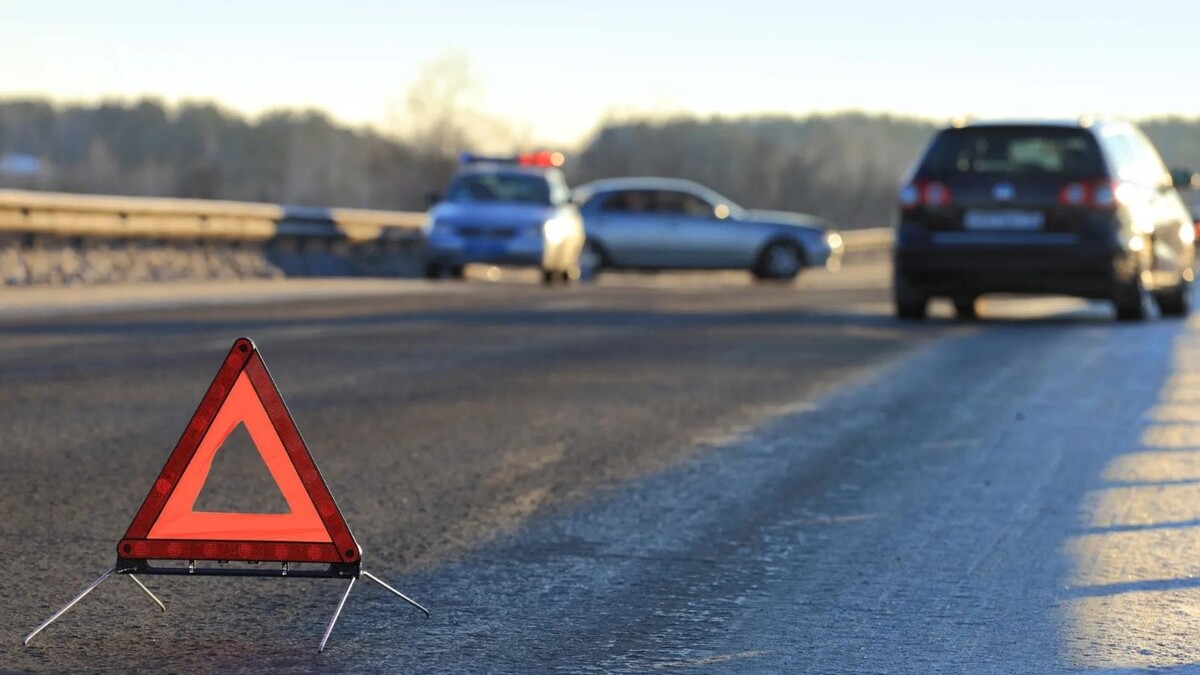    Фото: Matveychuk Anatoliy / Shutterstock / Fotodom