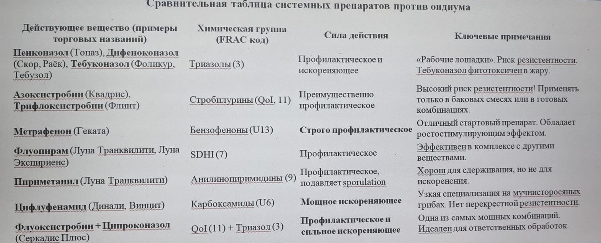 Таблица и фото Натальи Мироновой