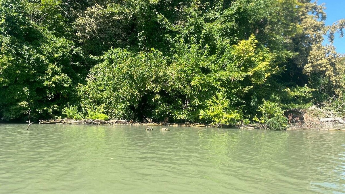    Фото: телеканал «Краснодар»