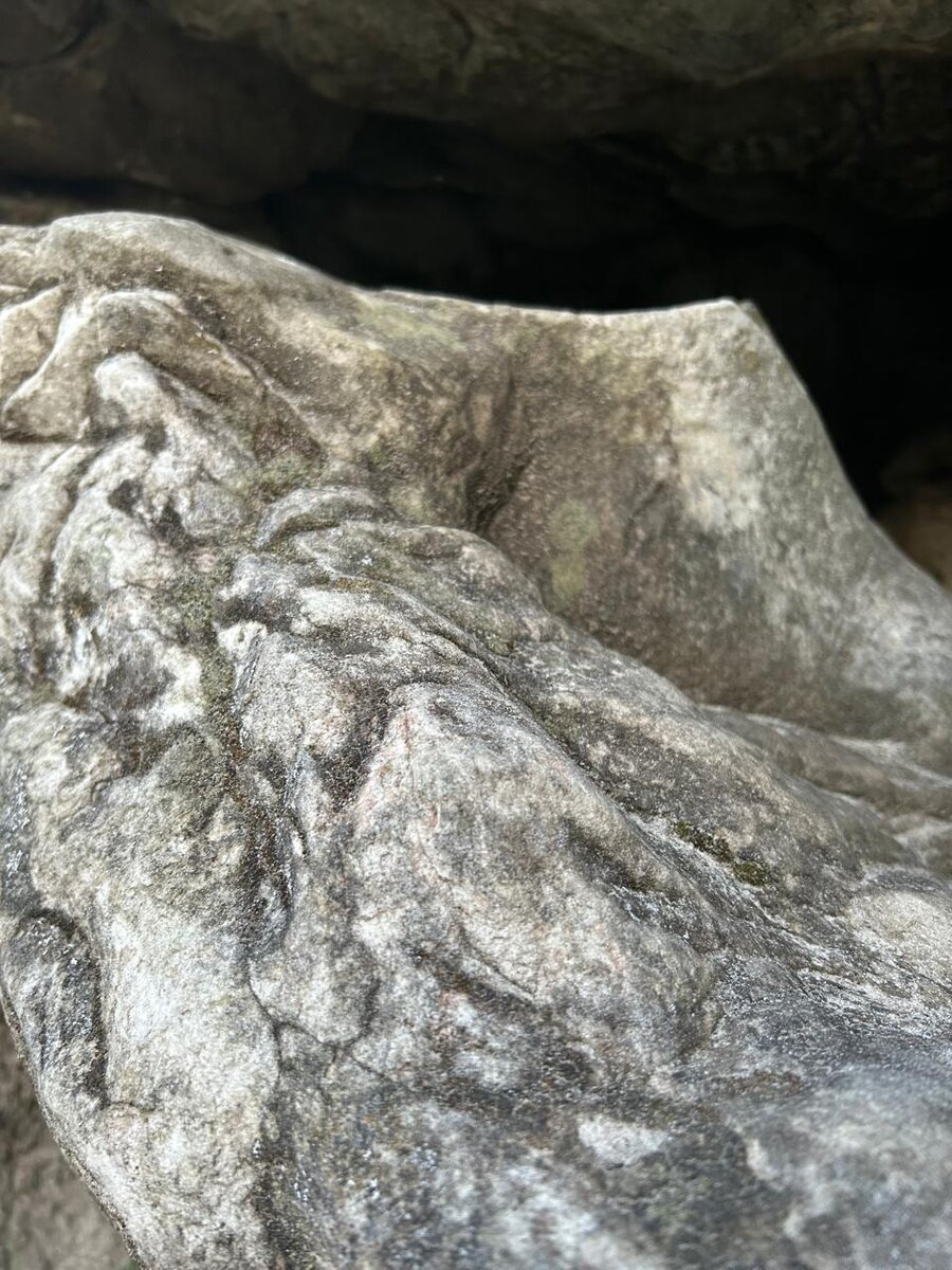 Необычные камни из обычного печанника