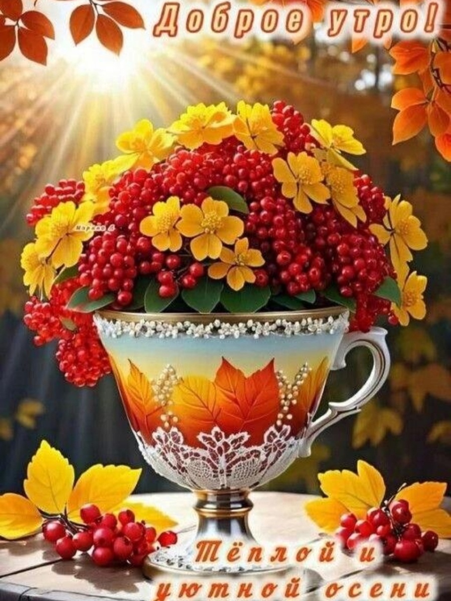 🍁🍁🍁🍁🍁🍁🍁🍁🍁🍁🍁🍁🍁🍁🍁🍁🍁🍁