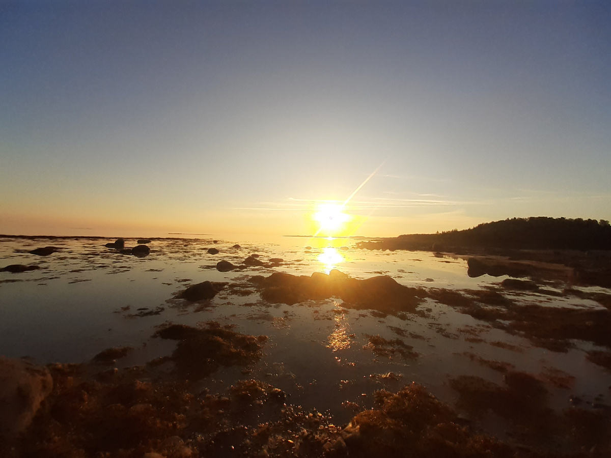 Белое море. Отлив