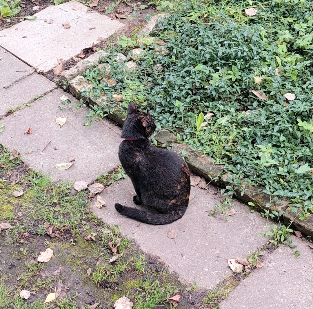 Фото автора.