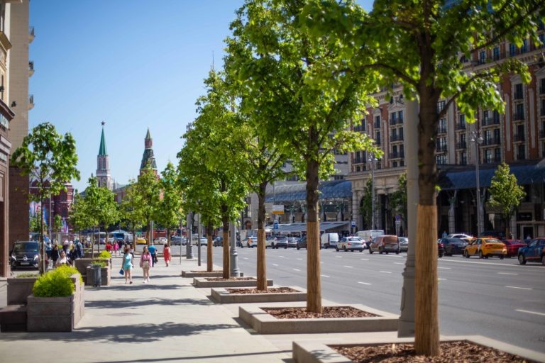    Фото: Общественная служба новостей Илья Федоров