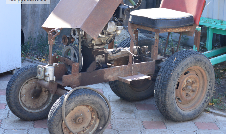 Фото автора. Лето 2025. Дело Кулибина цветёт и развивается.