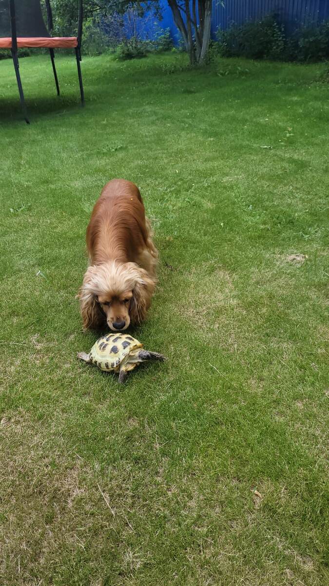 Мы всех любим. Даже тех, кого не надо