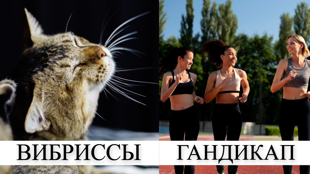 фото от freepik