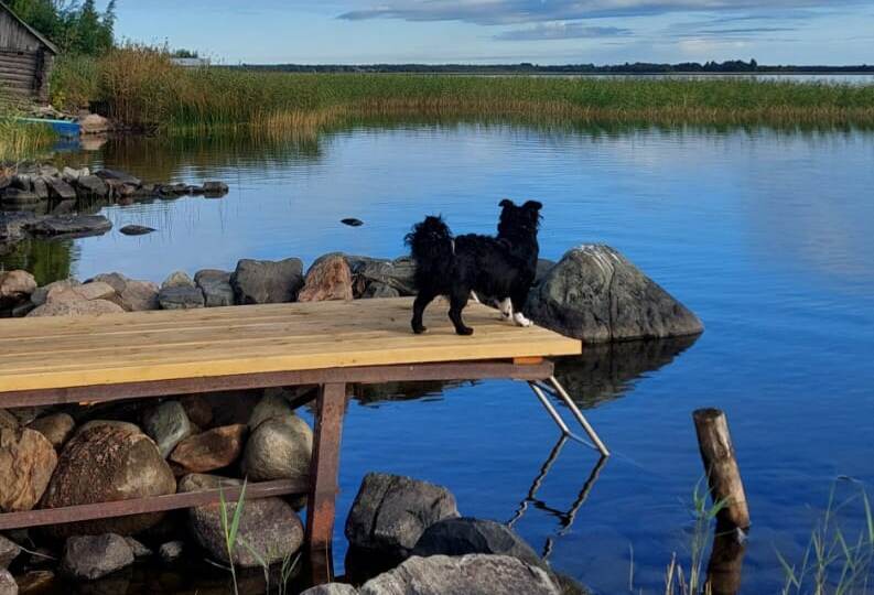 Что общего у 1 сентября со всеми нами