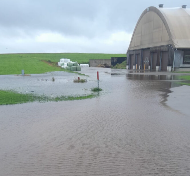Последствия проливных дождей в одном из крестьянских хозяйств Латвии © Крестьянский сейм