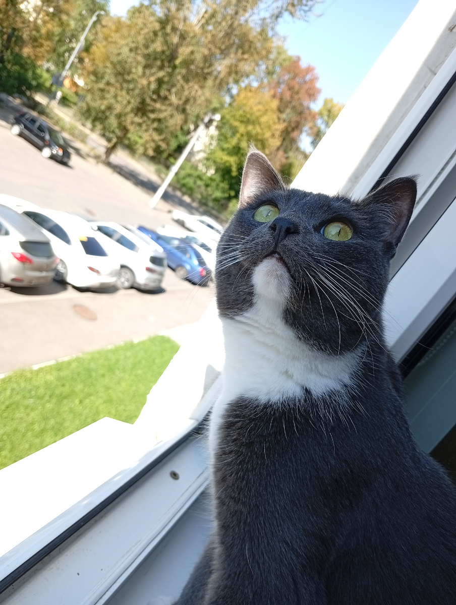 Наслаждаемся солнышком. Феденька