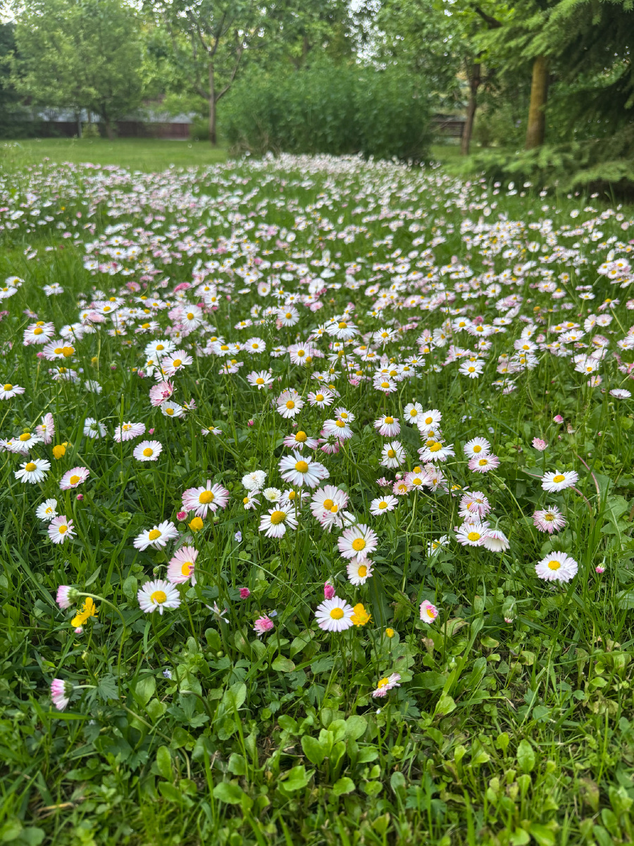 Лето, вам, официально, до свидания!