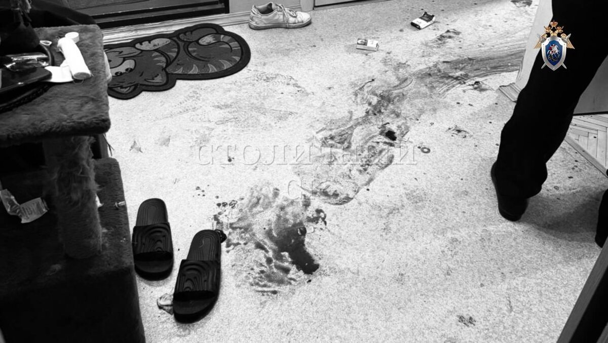   @skmoscowgsu / Telegram