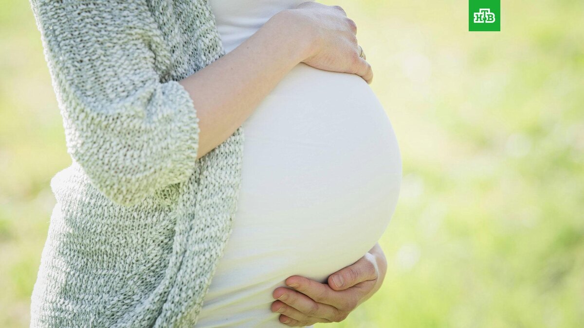    Фото: Tim Kraaijvanger / unsplash.com