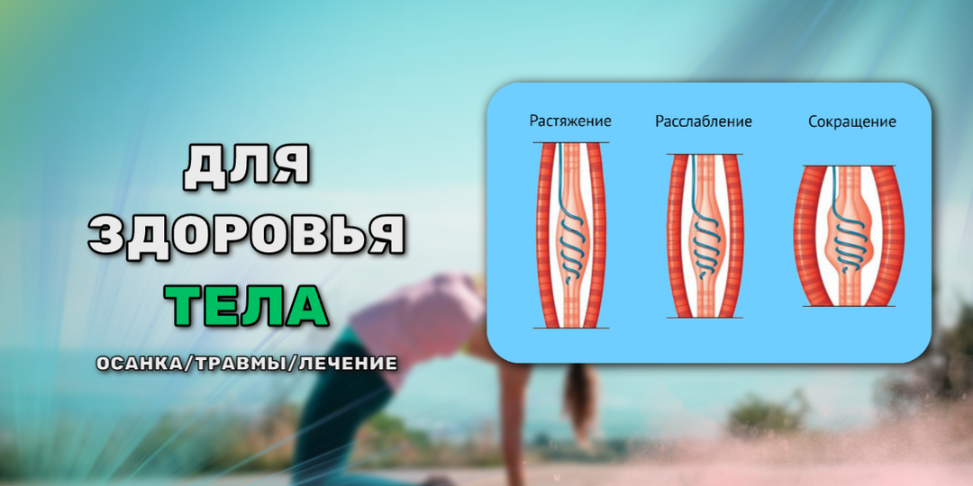 Всё что нужно знать про растяжку мышц.