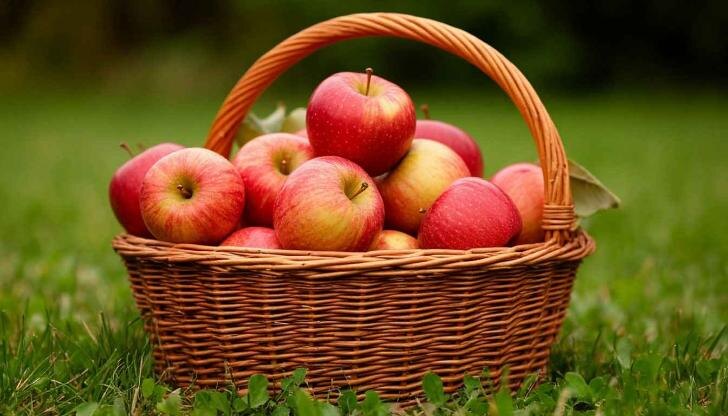    Фото: создано ИИ