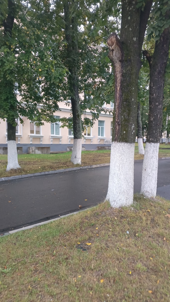 фото автора: иду по территории республиканской больницы