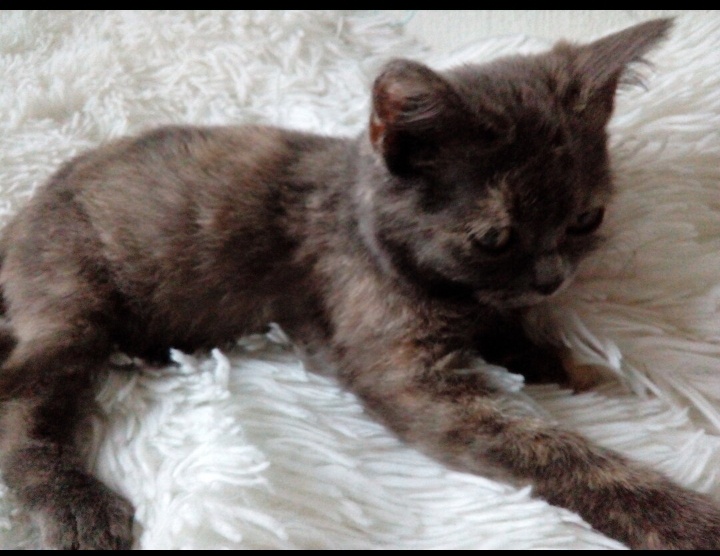 На этом фото, я уже месяц, как живу у Нюточки