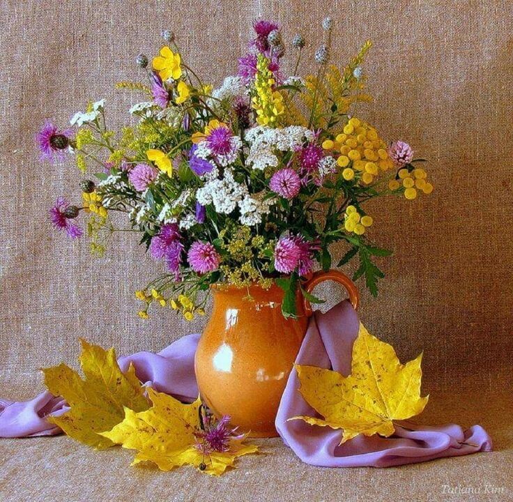 Изображение взято из открытого источника 