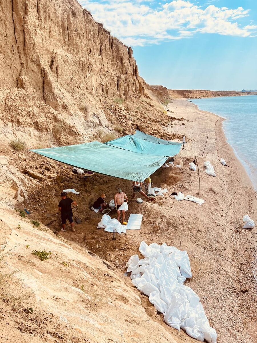 Раскопки мазута. Мазут на глубине до метра. Мыс Тузла