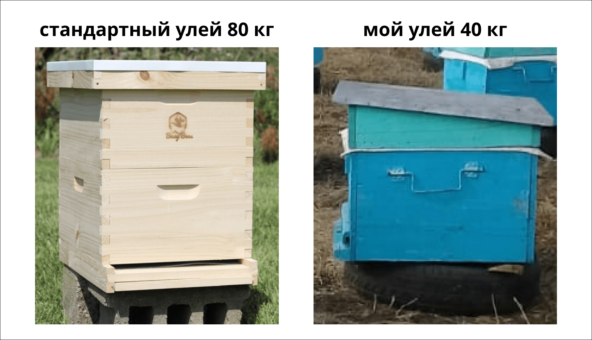 В учебниках написано делать ульи из доски 35—40 мм. А это от 20 000 ₽. Я делаю из доски 25 мм, которая стоит от 7 500 ₽. Так и я экономлю, и пчеле в таком улье комфортно. Летом гнездо не запаривается, а зимой все равно оставляю пчел в теплом помещении.