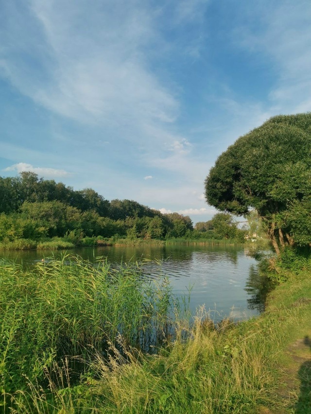    архив samaraonline24.ru