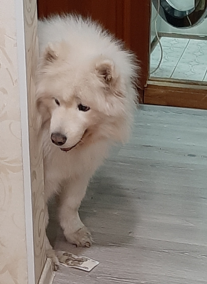 Айсик вытащил из кошелька сторублевку