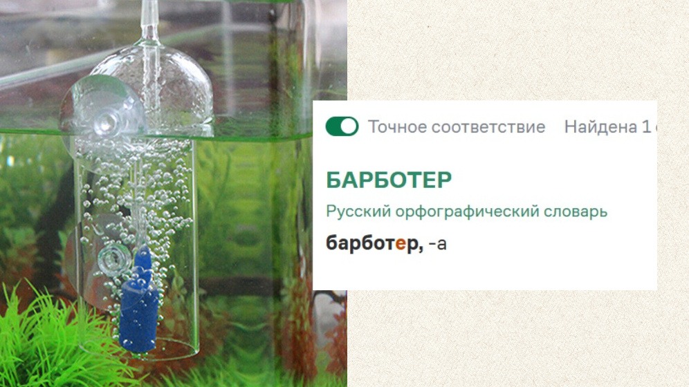 Фото от freepik