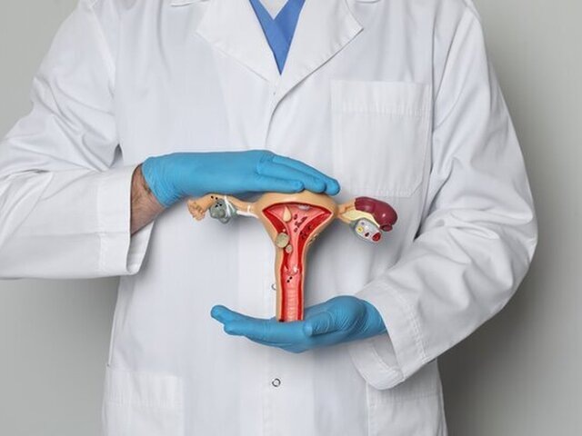    Фото: 123RF/liudmilachernetska