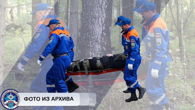 Фото: Аварийно-спасательная служба Ленинградской области, архив