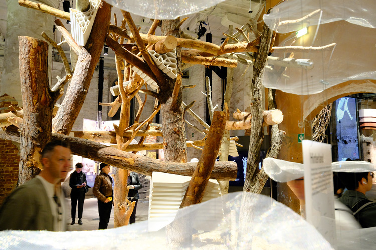 Главный вопрос куратора Биеннале: «Сможем ли мы спроектировать здание умное, как дерево?». Фото: Алексей Пивоваров