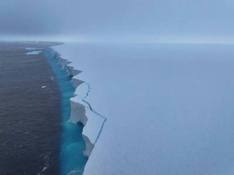    © ААНИИ. Вадим Махоров