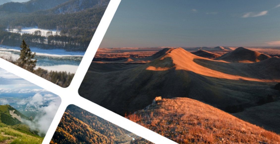    Изображение: президентскийфондприроды.рф