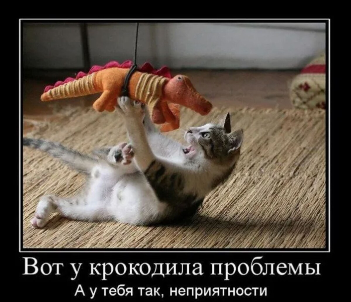 источник Яндекс-картинки