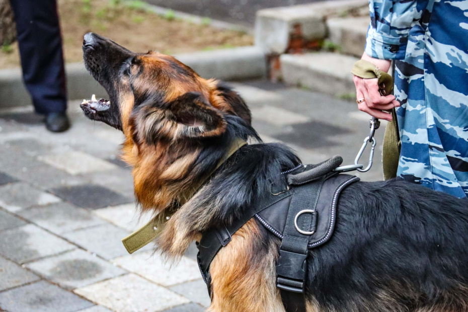    Сергей Лантюхов/NEWS.ru