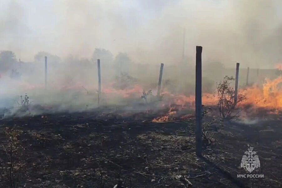    Фото: МЧС России
