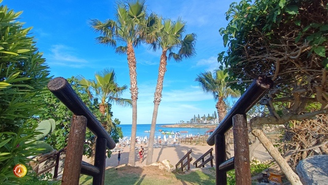 Fif tree bay Протарас