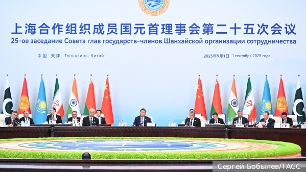     Фото: Сергей Бобылев/ТАСС   
 Текст: Дарья Григоренко