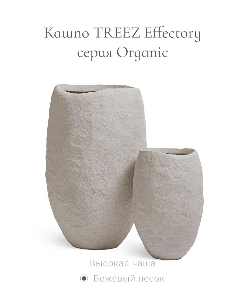 Кашпо и растения TREEZ Collection