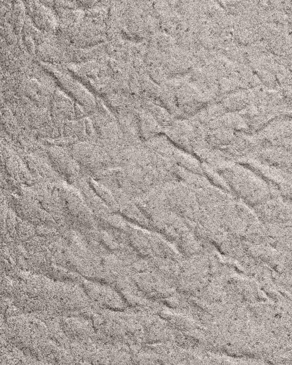 Кашпо и растения TREEZ Collection