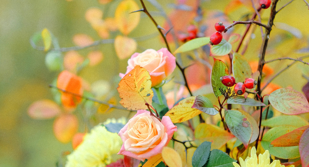 Вот и август прошёл...💛