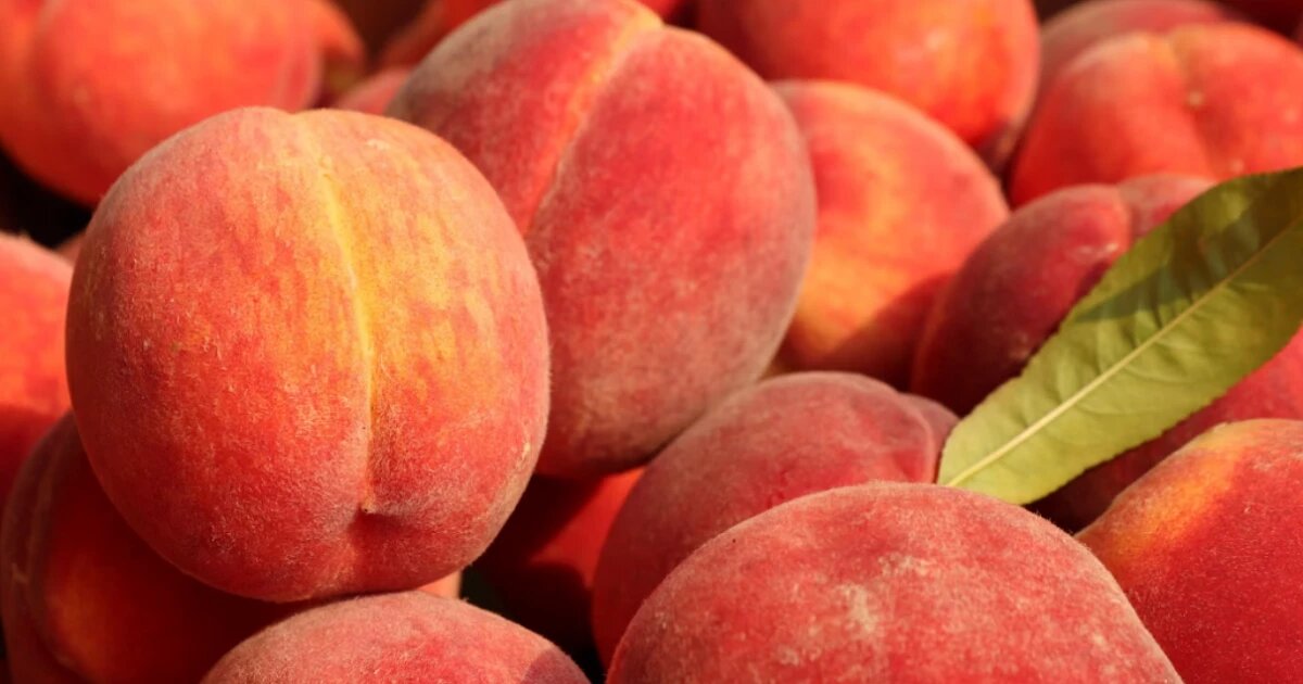 Фото: NisonCo PR and SEO / unsplash