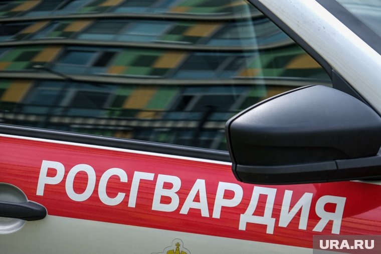    Автомобиль Росгвардии попал в аварию